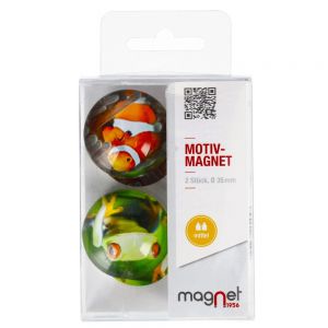 Magnesy Magnet Ryba/Żaba, 2szt 3.5cm